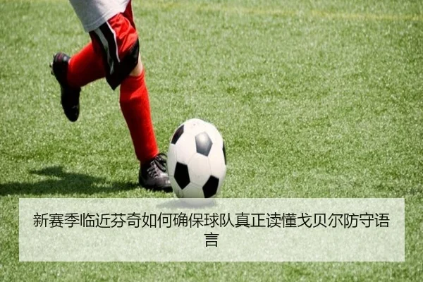 新赛季临近芬奇如何确保球队真正读懂戈贝尔防守语言